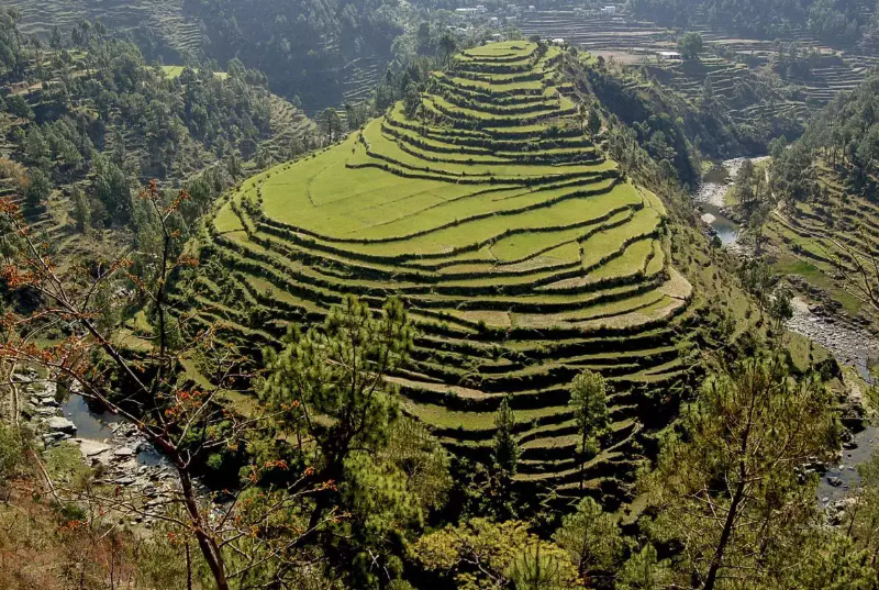 ranikhet